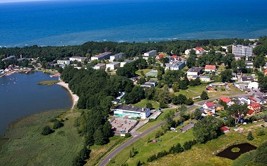 Dąbki