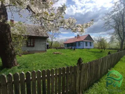 Roztoczańska Derylówka, Domki Na Roztoczu - Noclegi Zamość, Domki - miniatura 17