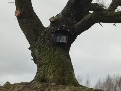 Roztoczańska Derylówka, Domki Na Roztoczu - Noclegi Zamość, Domki - miniatura 23