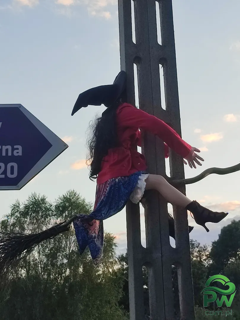 Roztoczańska Derylówka, Posiadłość - Noclegi Zamość, Agroturystyka - zdjęcie 22