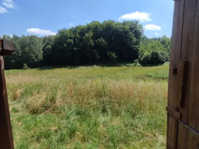 Roztoczańska Derylówka, Posiadłość - Noclegi Zamość, Agroturystyka - miniatura 21
