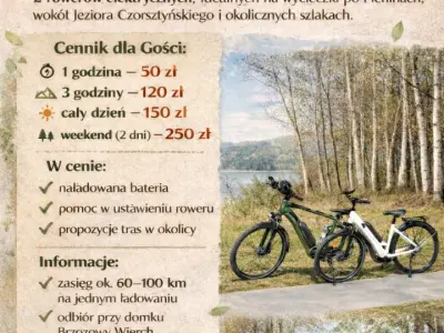 Brzozowy Wierch Domek Letniskowy - Noclegi Szlembark, Domki - miniatura 15