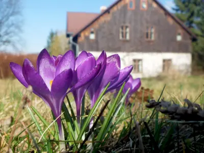 Dom Geologa z widokiem na góry - Noclegi Marianówka, Wille - miniatura 9