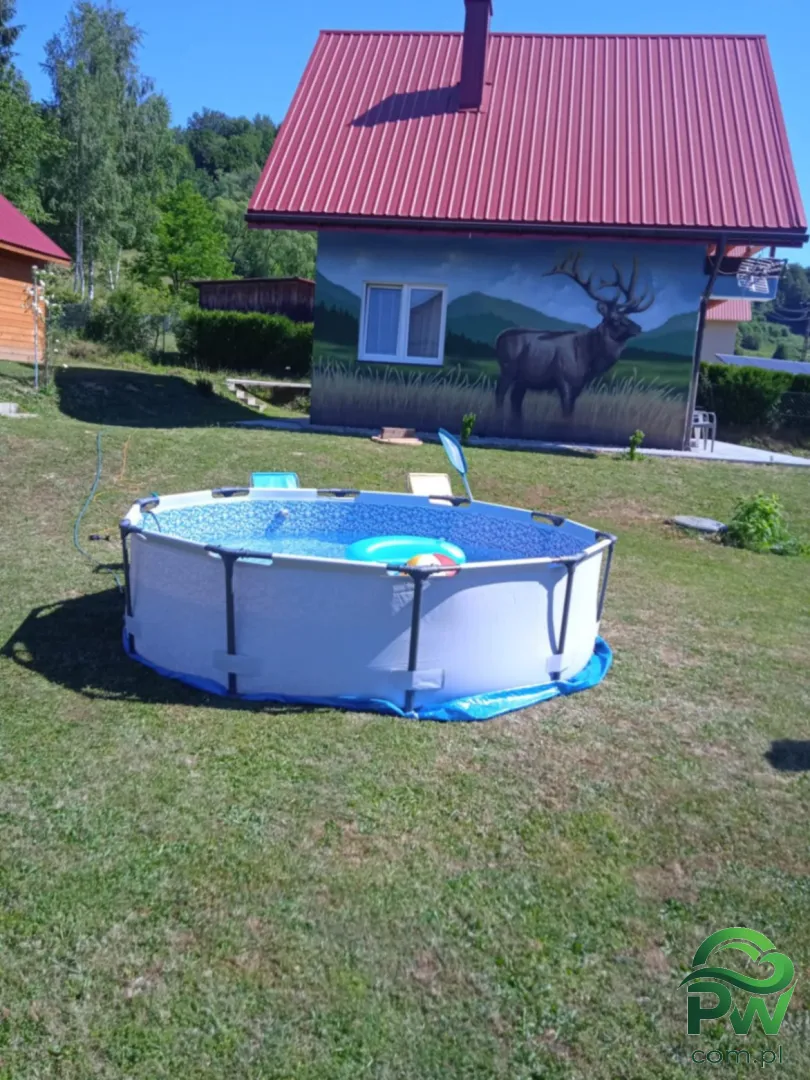 Domek Na Hawajach-Polana - Noclegi Polana, Domki - zdjęcie 9