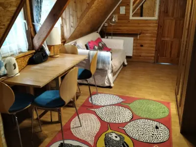 Willa7 w Korbielowie - Noclegi Korbielów, Pensjonaty - miniatura 16