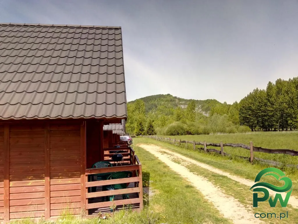 Zdjęcie nr 5
