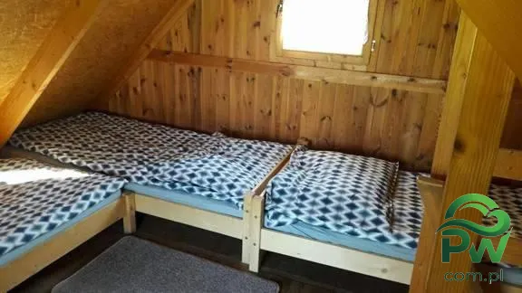 Zdjęcie nr 8