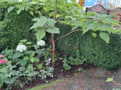 Pokoje u Anny - Noclegi Dźwirzyno, Kwatery prywatne - miniatura 10
