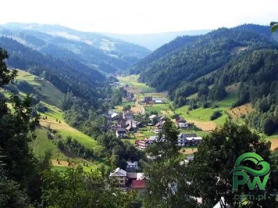 Zdjęcie nr 4