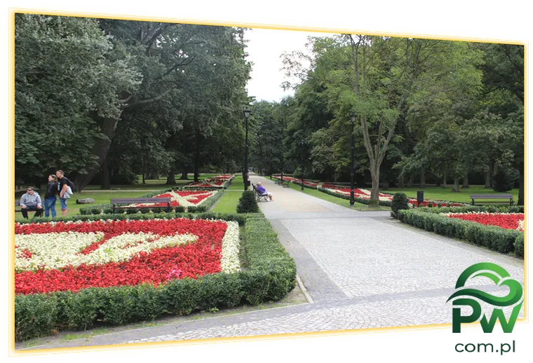 Zdjęcie nr 5