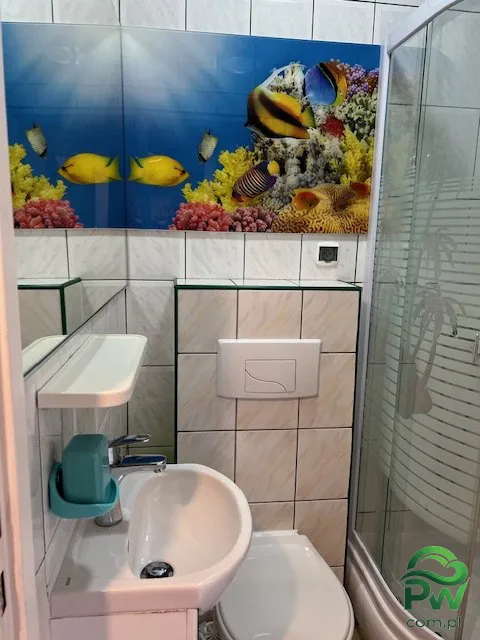 Zdjęcie nr 4